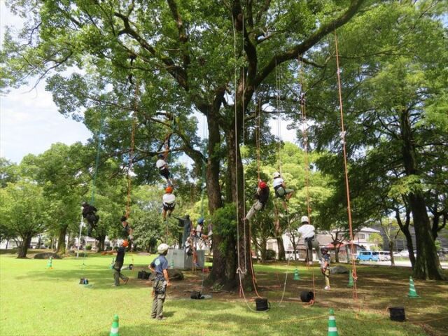 本日、『～公園で遊ぼう！～ツリーイング体験会』を開催しました。
新型コロナウイルス感染拡大の影響で中止が続いたため、4年ぶりの開催となりました。
ほとんどの方が初めてのツリーイング体験だったので、慣れるまでが大変だったようでしたが、慣れてくると、どんどん登られていました！
#宮崎 #宮崎の公園 #宮崎県総合文化公園 #文化公園 #体験 #夏休み #イベント #ツリーイング #ツリーイング体験 #木登り #夏休み企画