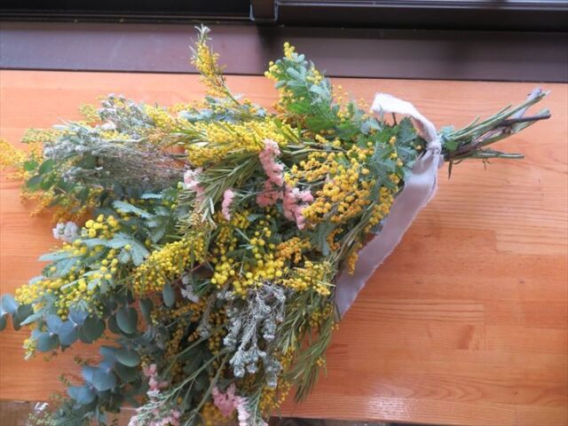 本日、『ミモザのスワッグ教室』を開催しました。皆さん材料を選ぶのを悩まれたりしていましたが、手際よくスワッグを作られていました。
参加者の皆さん、『み花』さん、天気が悪い中ありがとうございました。
#宮崎 #文化公園 #宮崎の公園 #宮崎県総合文化公園 #イベント #イベント情報 #スワッグ教室 #スワッグ #ミモザ #国際女性デー #み花
