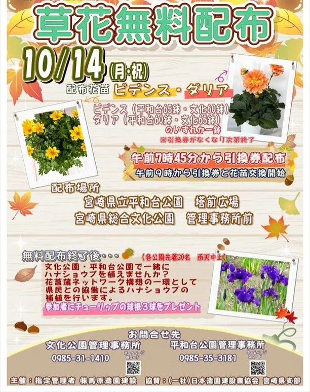 10月14日（月・祝）の『草花無料配布』ですが、
今回は「ビデンス」・「ダリア」のいずれか1鉢を配布します。（文化公園はビデンス60鉢・ダリア65鉢になります）

当日、7時45分から引換券を先着125名様に配布し、
午前9時から引換券と花苗を交換します。

引換券が無くなり次第締め切らせて頂きますので、あらかじめご了承下さい。

無料配布後は、一緒にハナショウブを植えませんか。
花菖蒲ネットワーク構想の一環としてハナショウブの植栽を実施します。
当日、20名の参加募集（先着）となりますので、
こちらもお時間のある方は、ぜひご参加ください。

参加いただいた方にはチューリップの球根を3球プレゼントします🌹

お問合せ先
文化公園管理事務所　0985-31-1410　

たくさんの方のご参加をお待ちしています！！